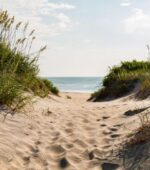 north carolina locum jobs