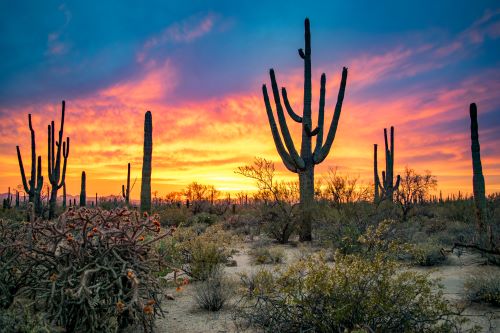 locum tenens womens health jobs in arizona