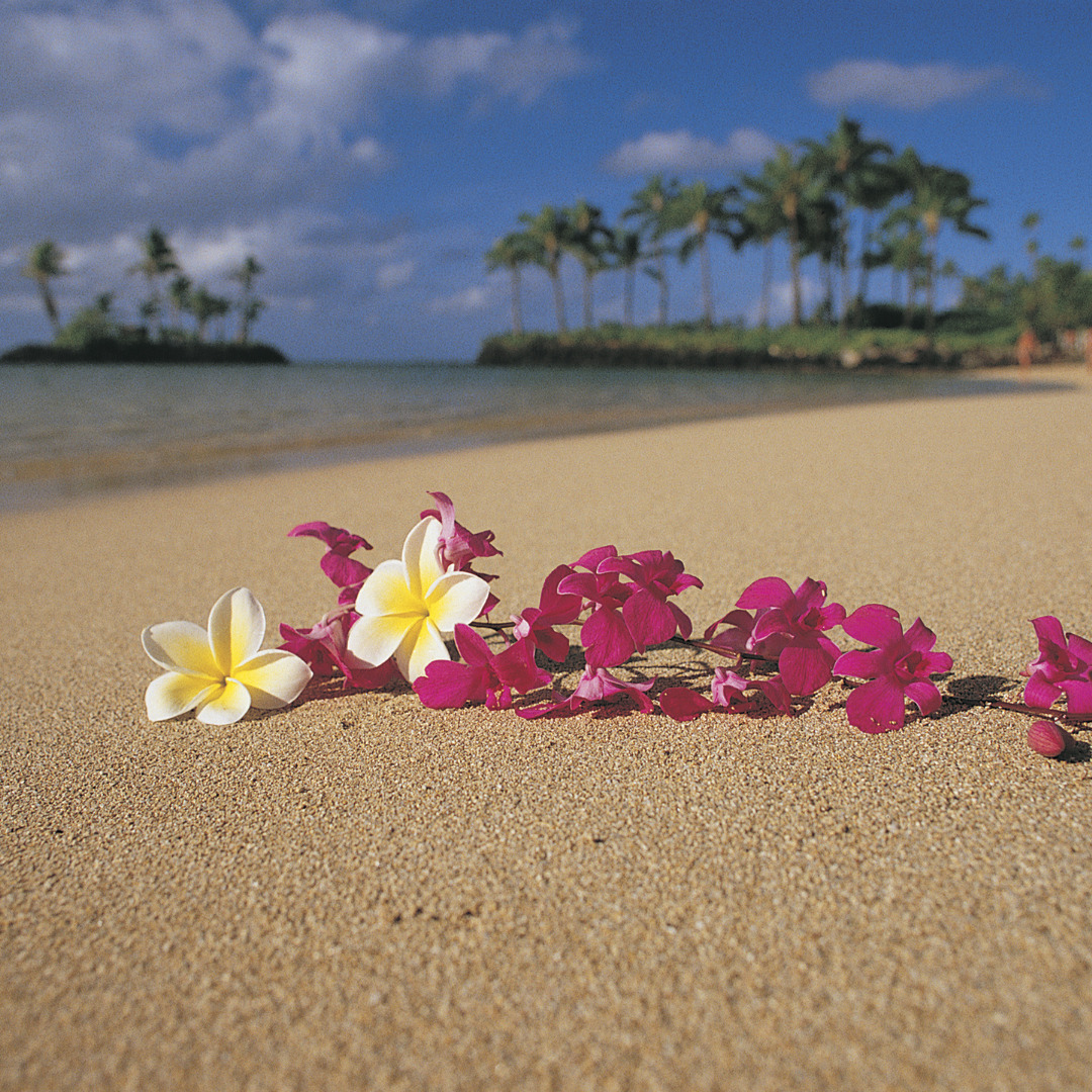 Lei on a Hawaiian beach