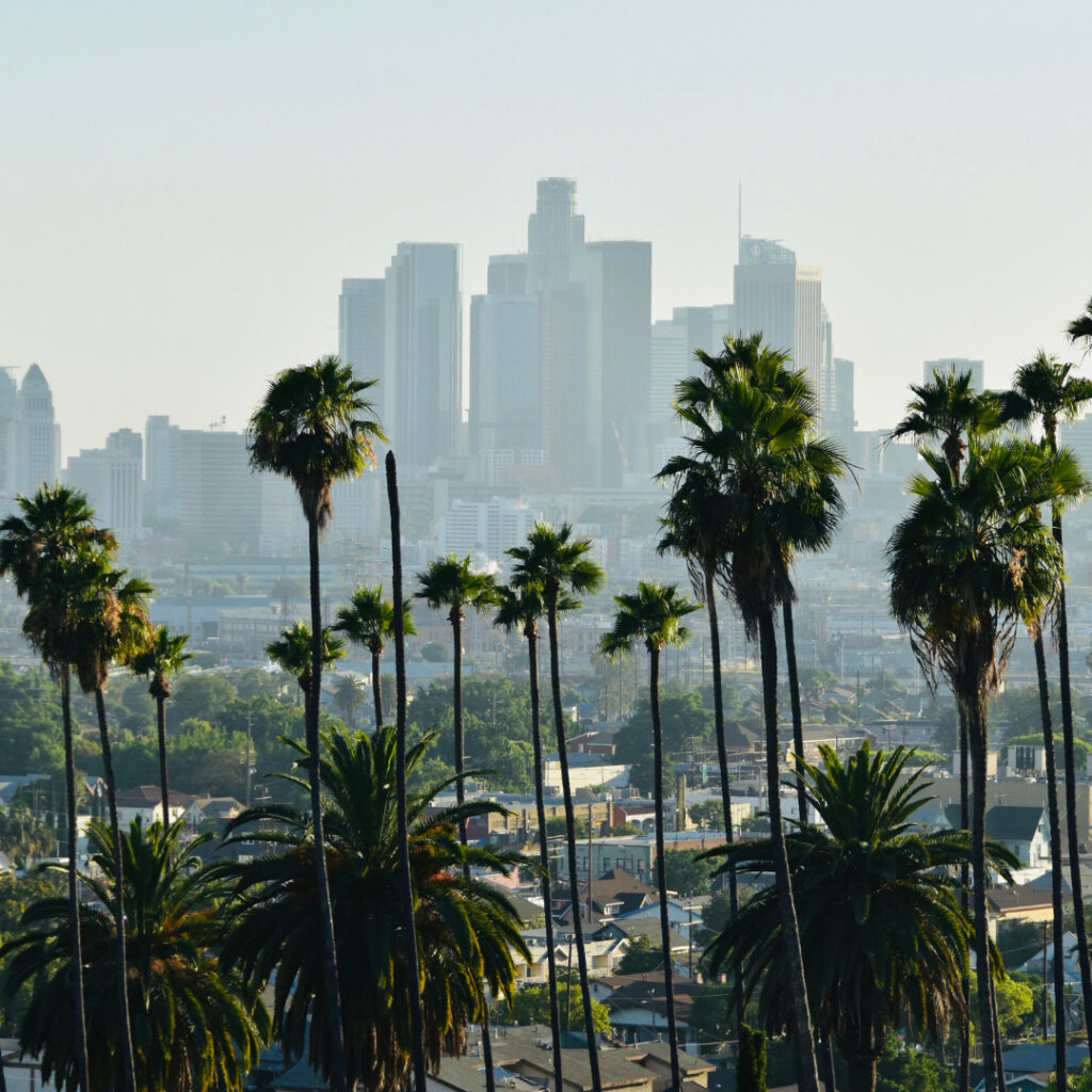 Los Angeles Skyline