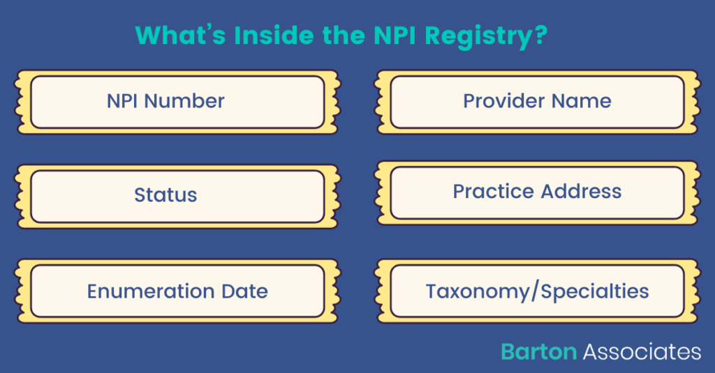 NPI Registry Infographic