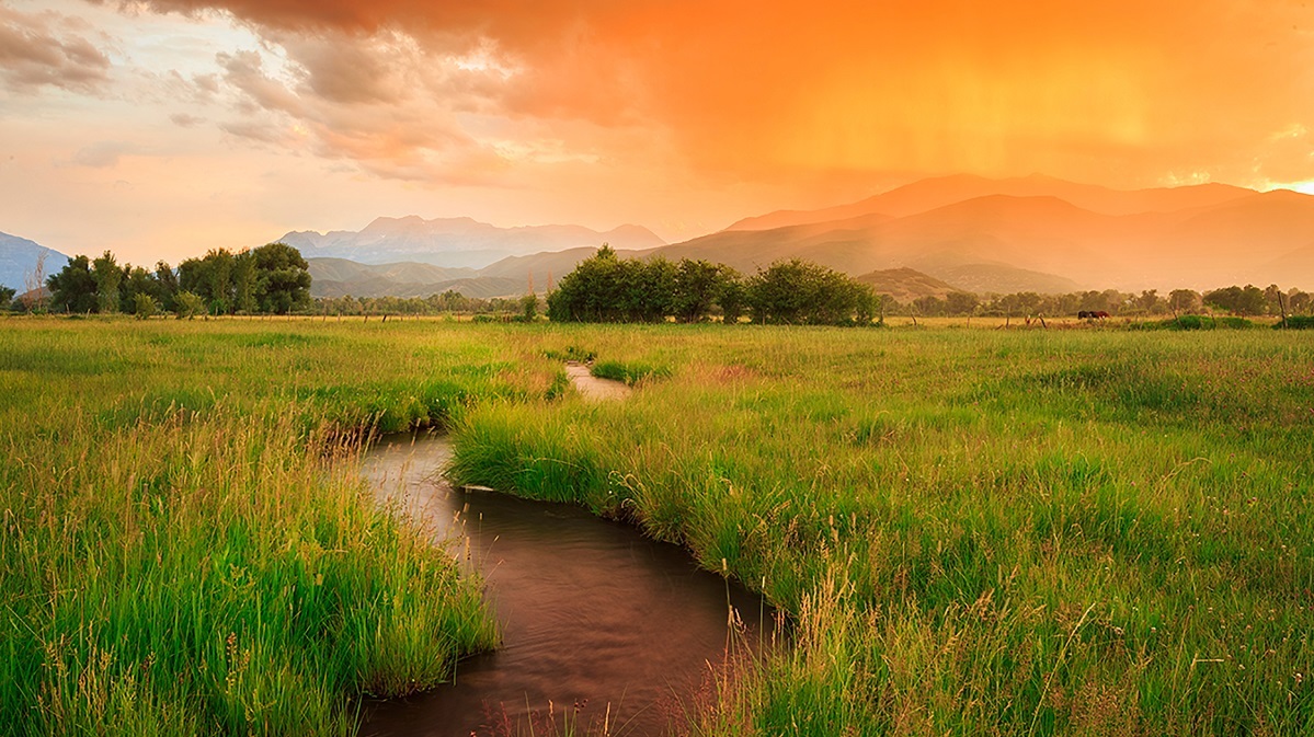 Understanding the Rural Healthcare Problem