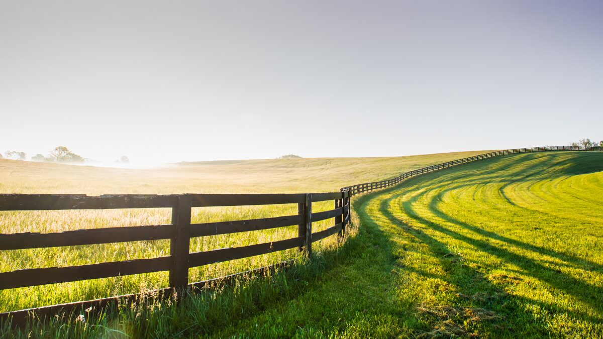 The Rural Health Clinic Program Provides Opportunities for PAs and NPs