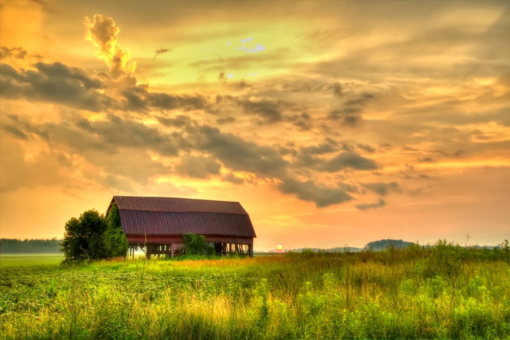 PA Scope of Practice Series: Iowa