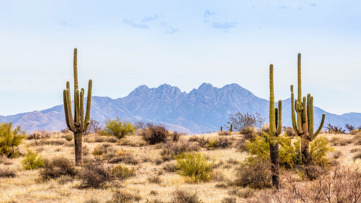 Benefits of Working in a Rural Health Setting